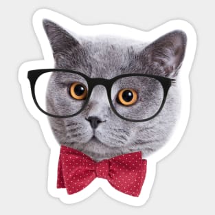 Hipster Cat Sticker